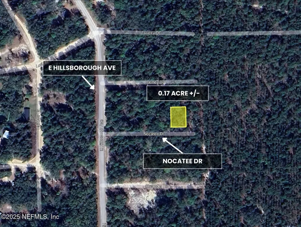 108 Nocatee Drive Florahome FL 32140