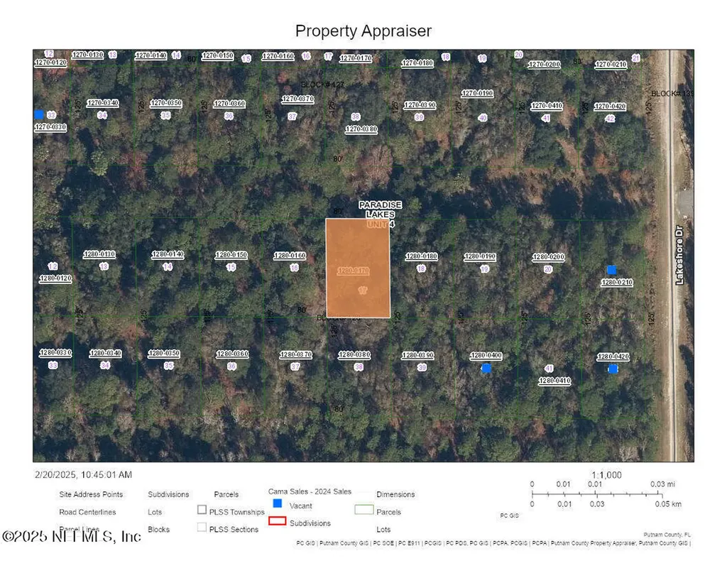 333 Laisy Drive Georgetown FL 32139