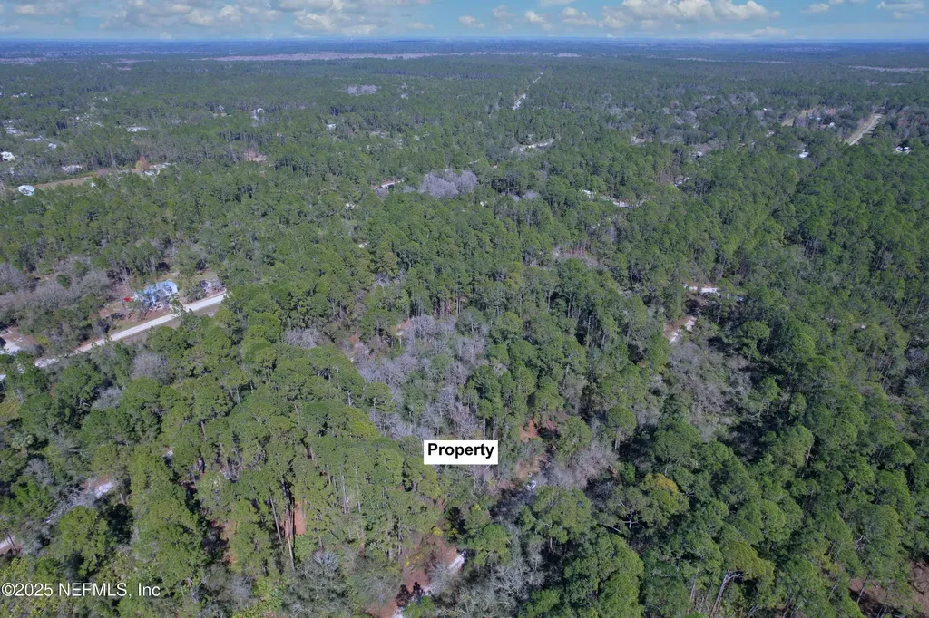 324 Palm Way Georgetown FL 32139