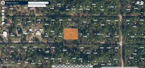 324 Palm Way Georgetown FL 32139