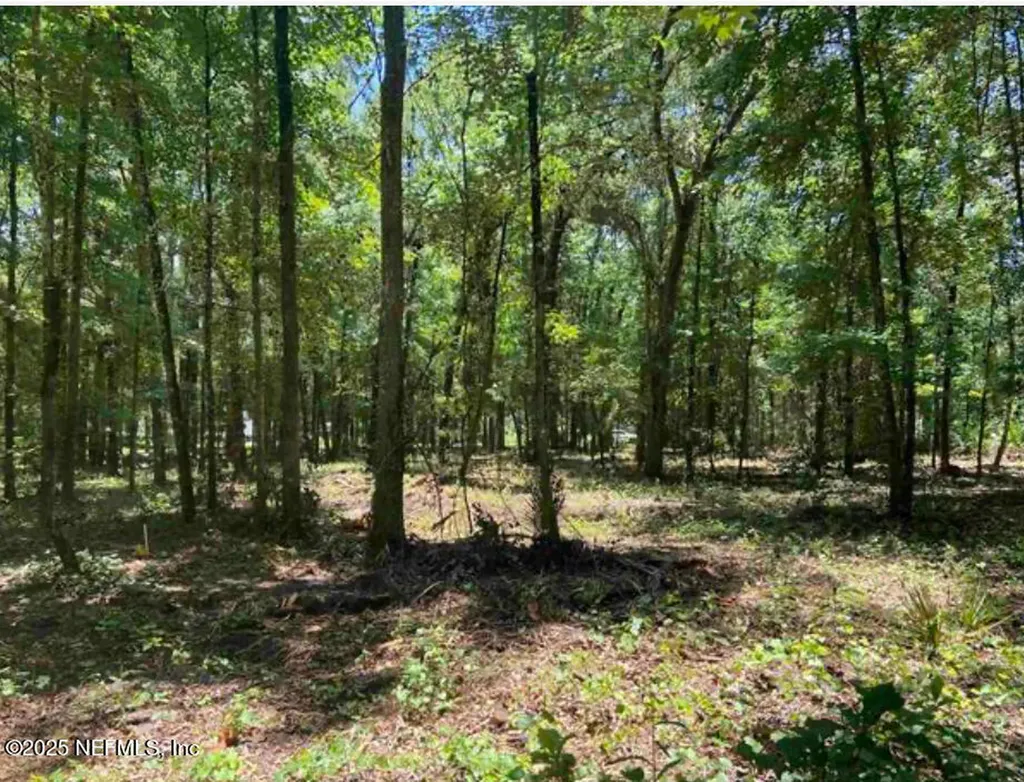 4810 Noel Street Hastings FL 32145