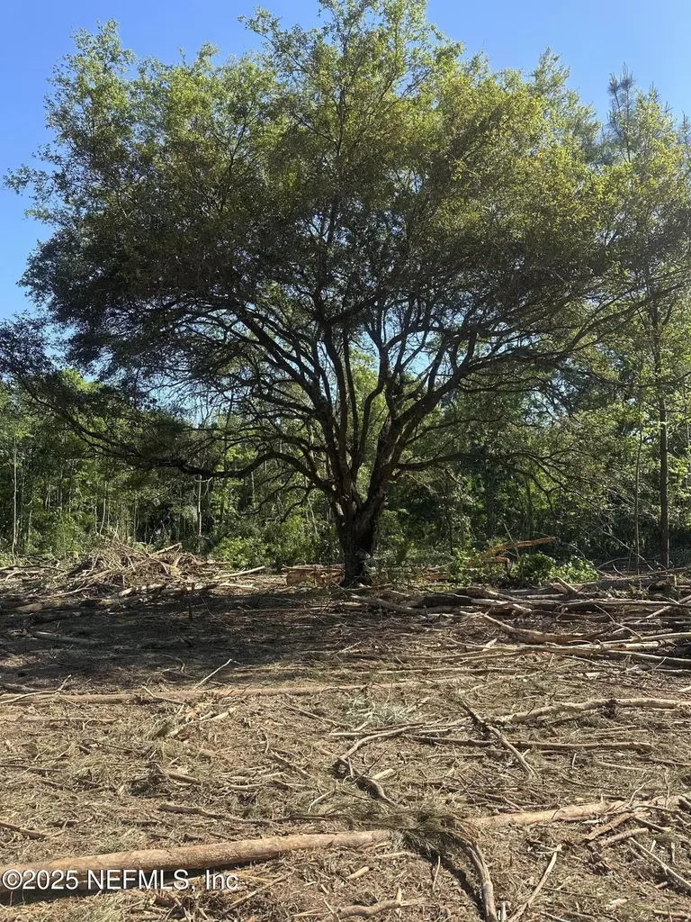 4891 Whittaker Road Hilliard FL 32046