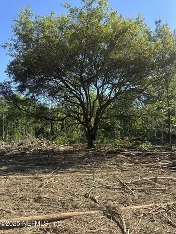 4891 Whittaker Road Hilliard FL 32046