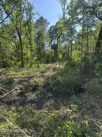 4891 Whittaker Road Hilliard FL 32046
