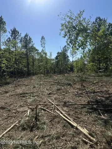 4891 Whittaker Road Hilliard FL 32046