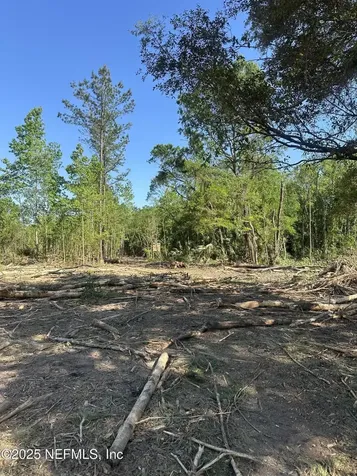 4891 Whittaker Road Hilliard FL 32046
