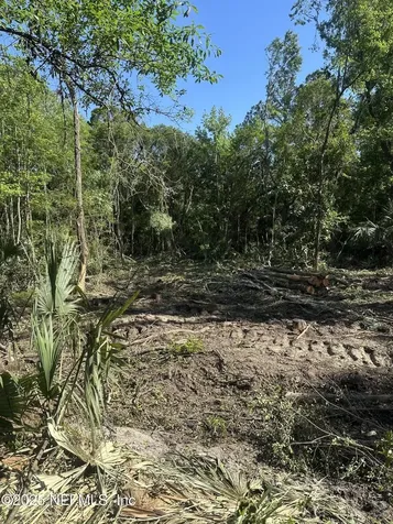 4891 Whittaker Road Hilliard FL 32046