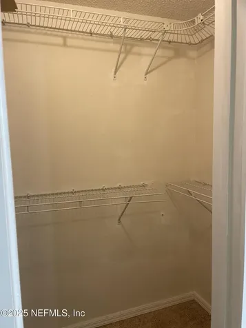 12538 Ash Harbor Drive Jacksonville FL 32224