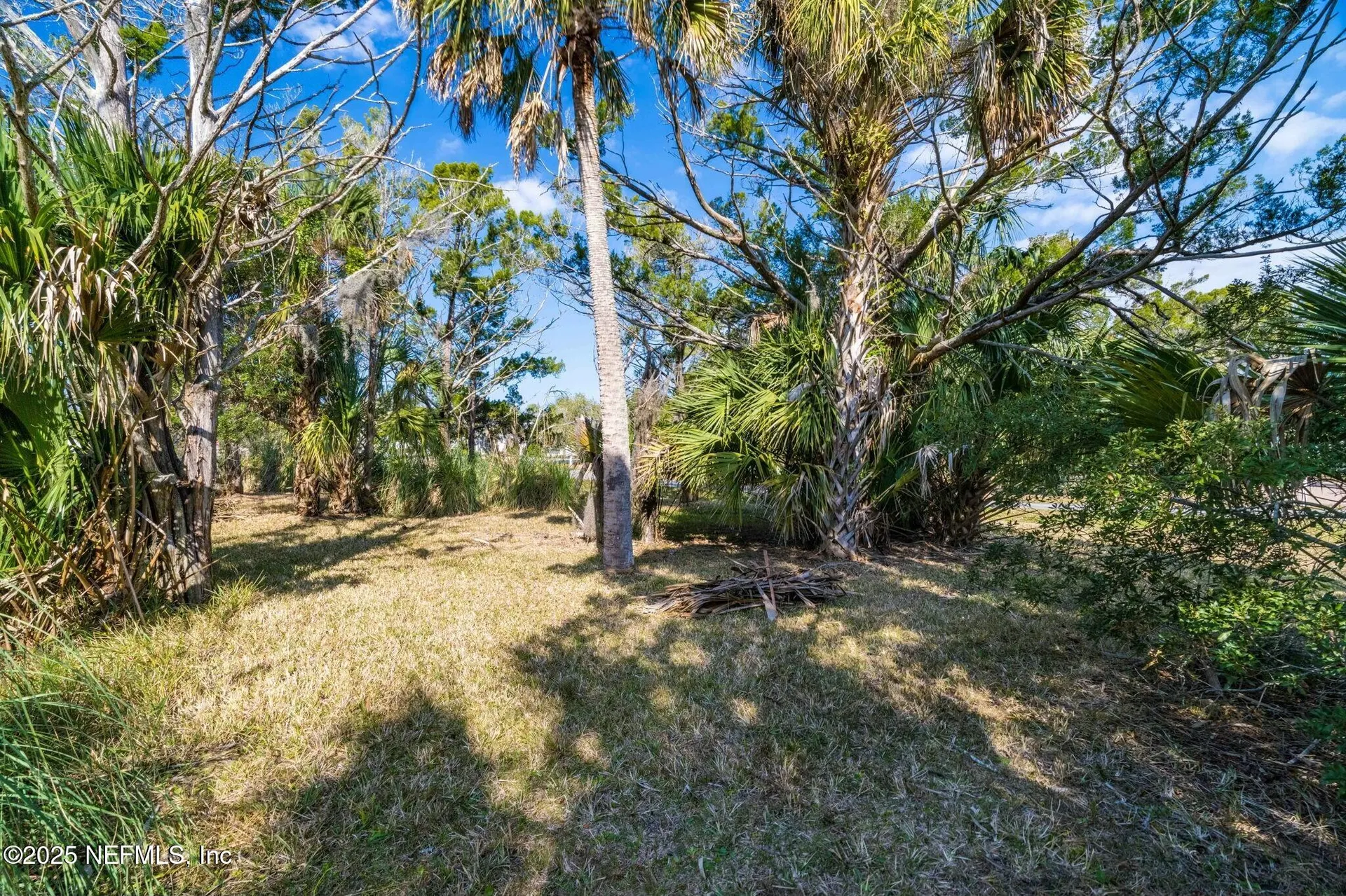 123 Spartina Avenue St. Augustine FL 32080