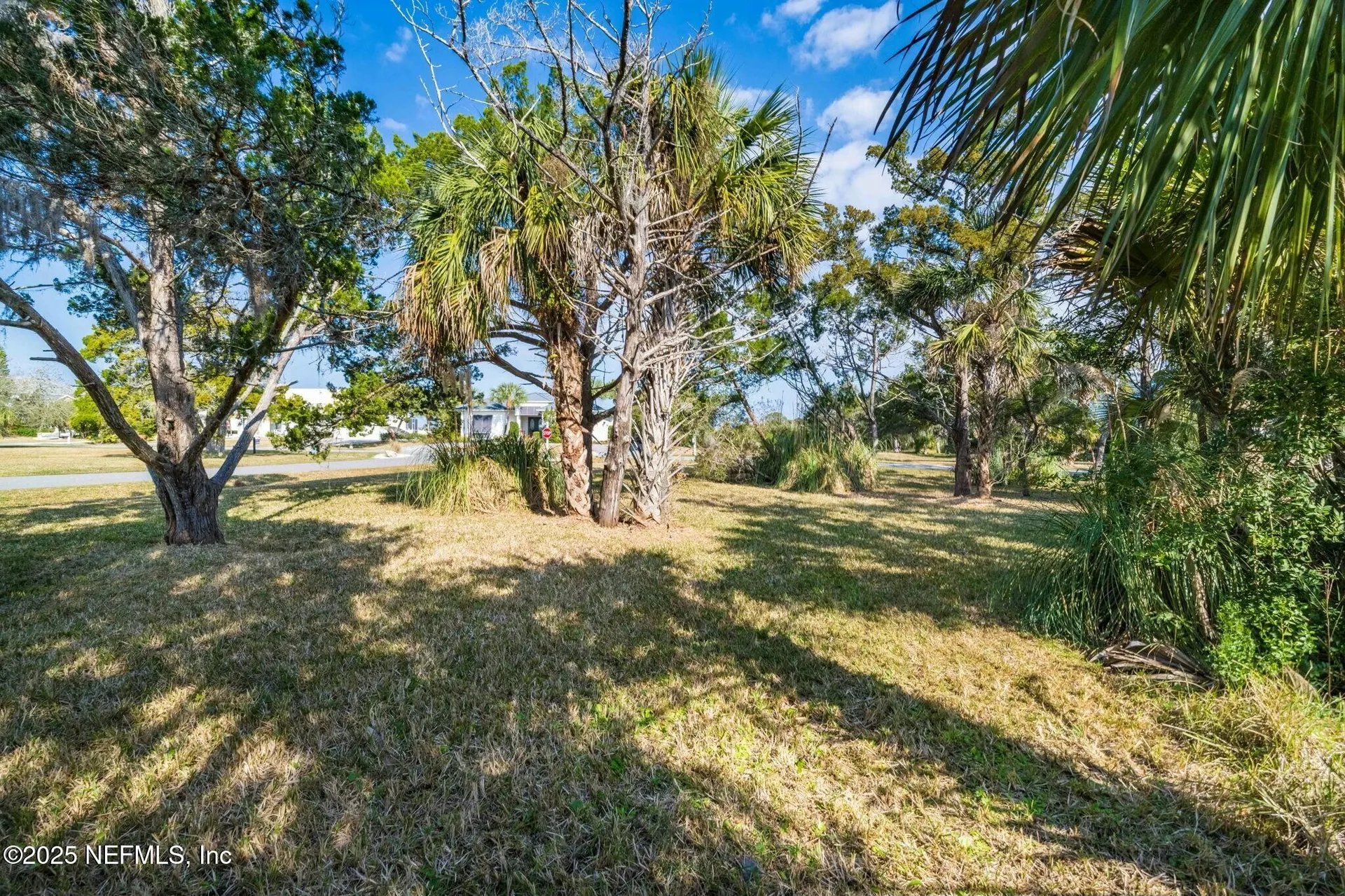 123 Spartina Avenue St. Augustine FL 32080