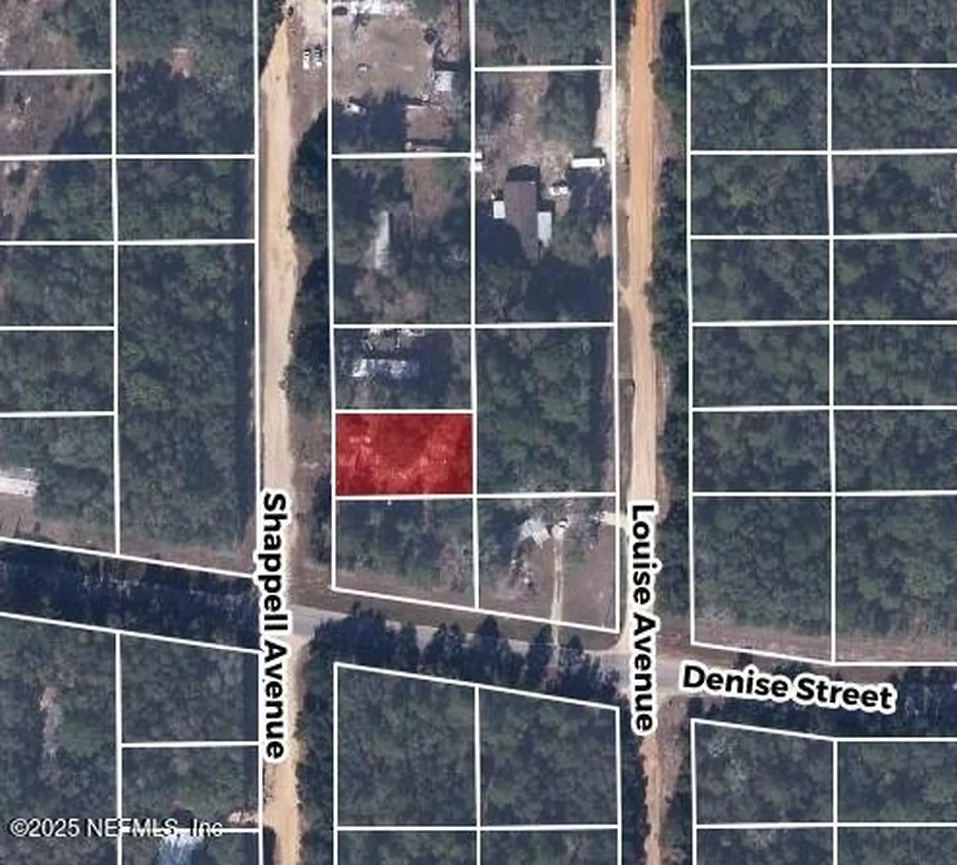 602 Shappell Avenue Interlachen FL 32148