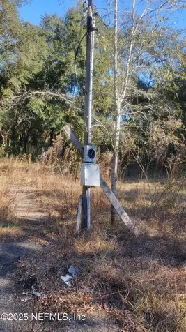 602 Shappell Avenue Interlachen FL 32148