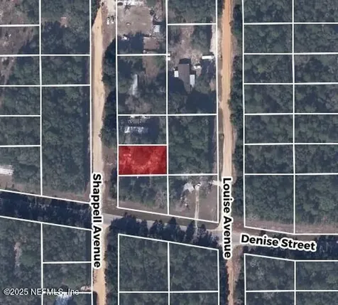 602 Shappell Avenue Interlachen FL 32148