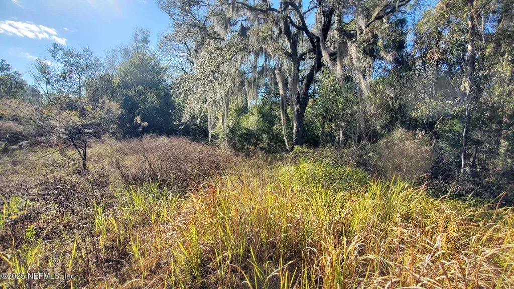 127 Cherokee Avenue Interlachen FL 32148