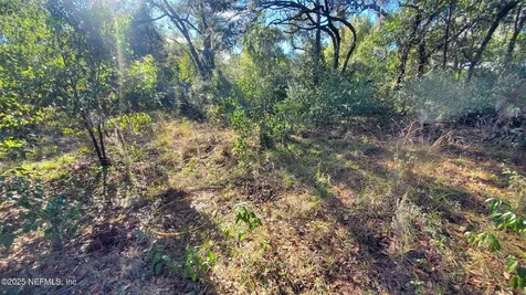 127 Cherokee Avenue Interlachen FL 32148