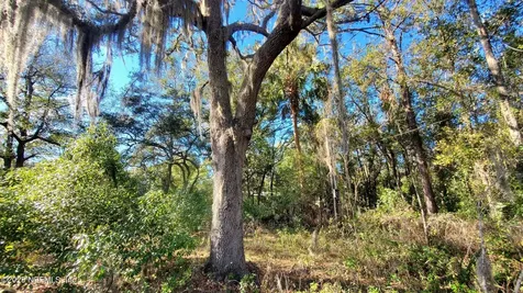 127 Cherokee Avenue Interlachen FL 32148