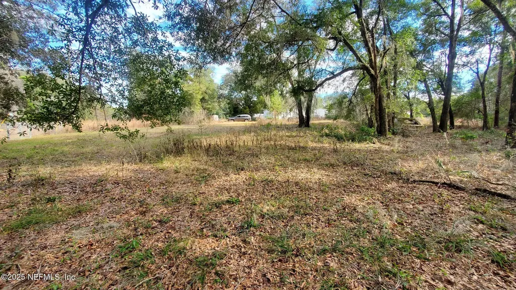 235 Hayes Drive Interlachen FL 32148