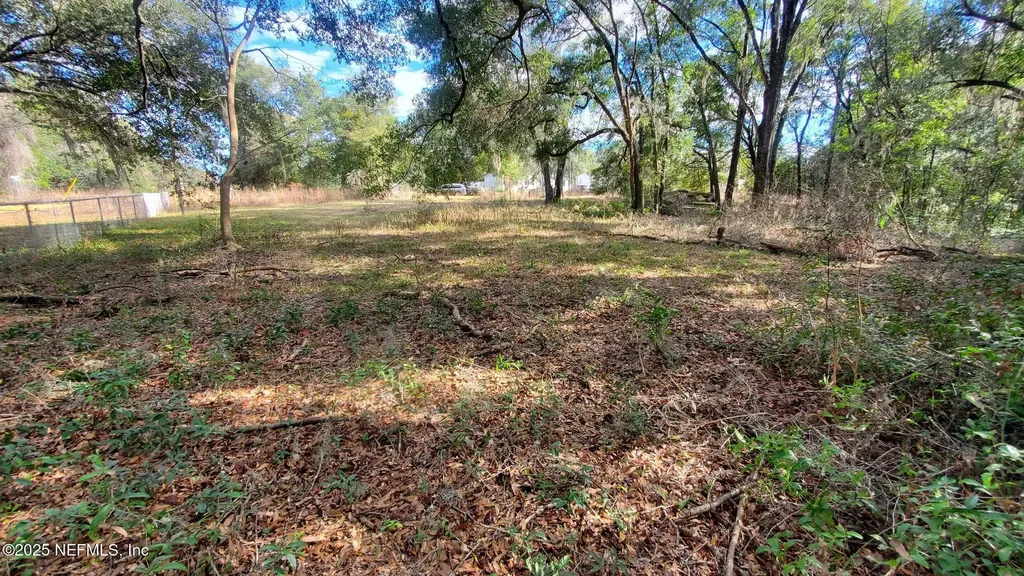 235 Hayes Drive Interlachen FL 32148