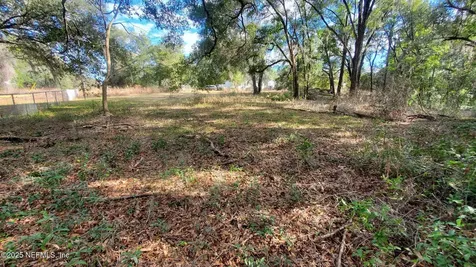 235 Hayes Drive Interlachen FL 32148