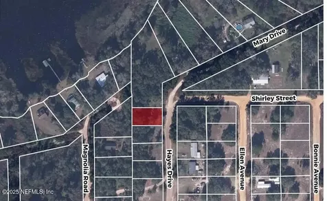 235 Hayes Drive Interlachen FL 32148
