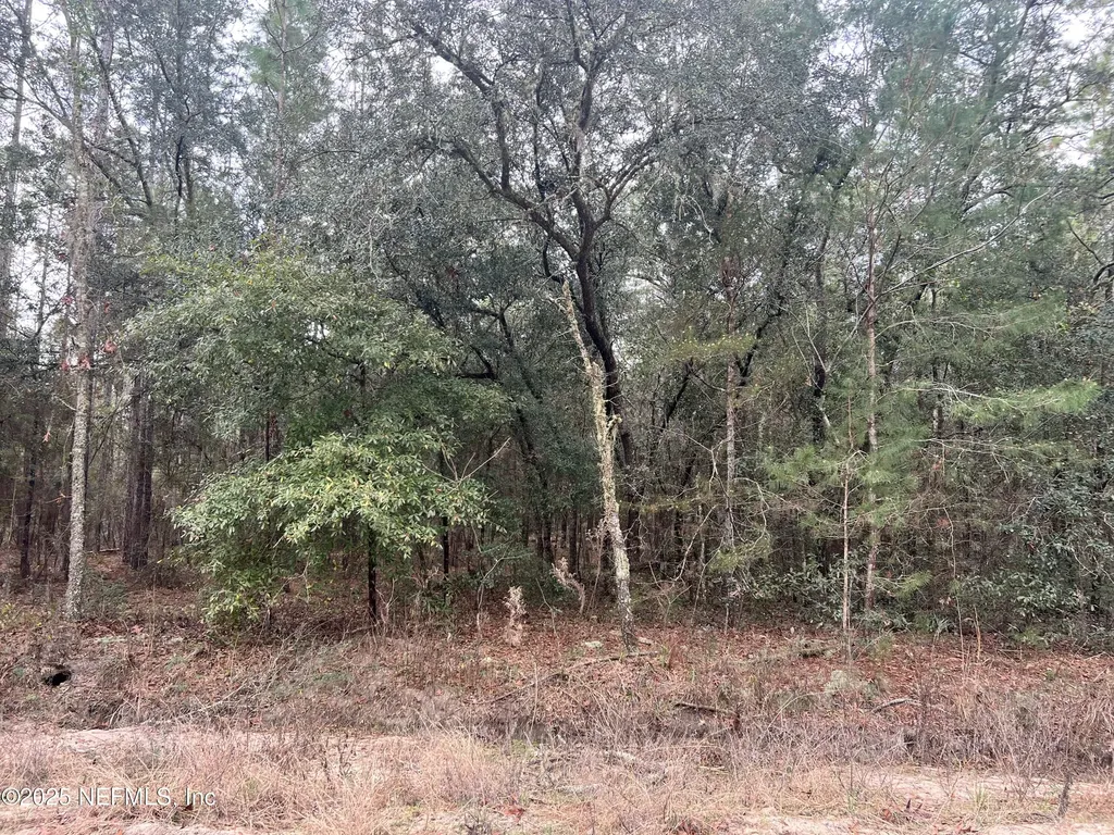 5855 Campo Drive Keystone Heights FL 32656