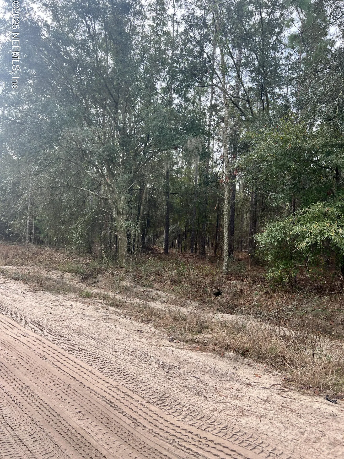 5855 Campo Drive Keystone Heights FL 32656