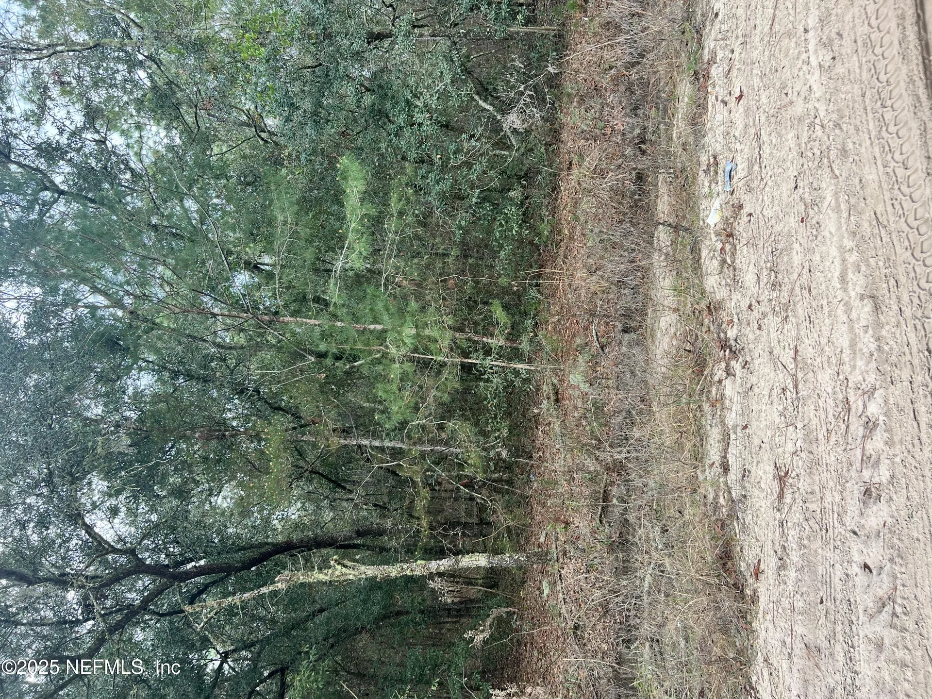 5855 Campo Drive Keystone Heights FL 32656