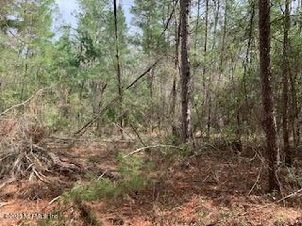 00 SE 4th Avenue Interlachen FL 32148