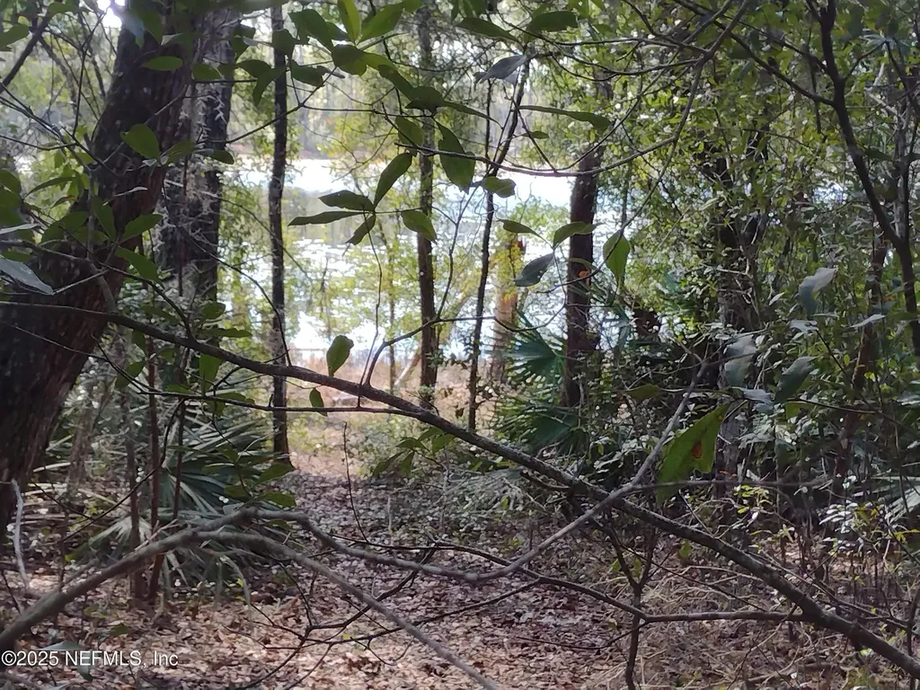 93 Tucker Lake Road Melrose FL 32666
