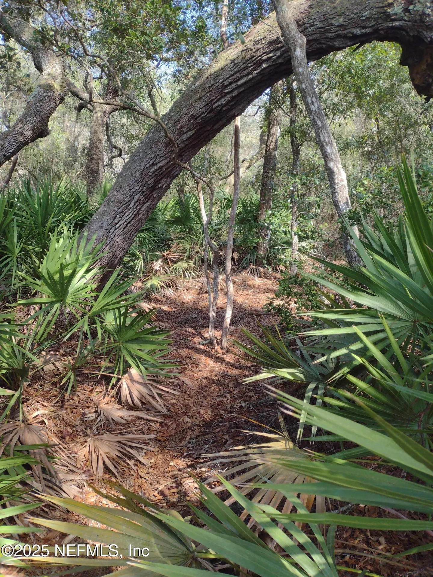 93 Tucker Lake Road Melrose FL 32666