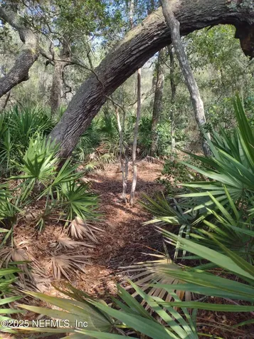 93 Tucker Lake Road Melrose FL 32666