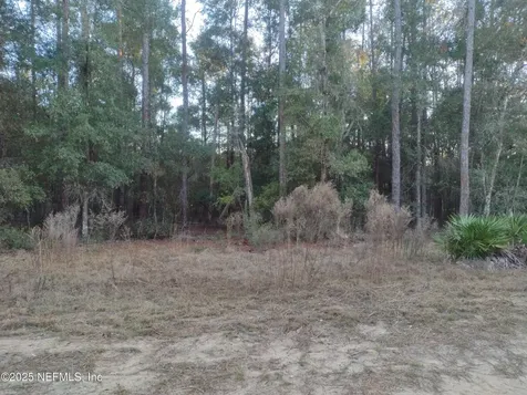 93 Tucker Lake Road Melrose FL 32666