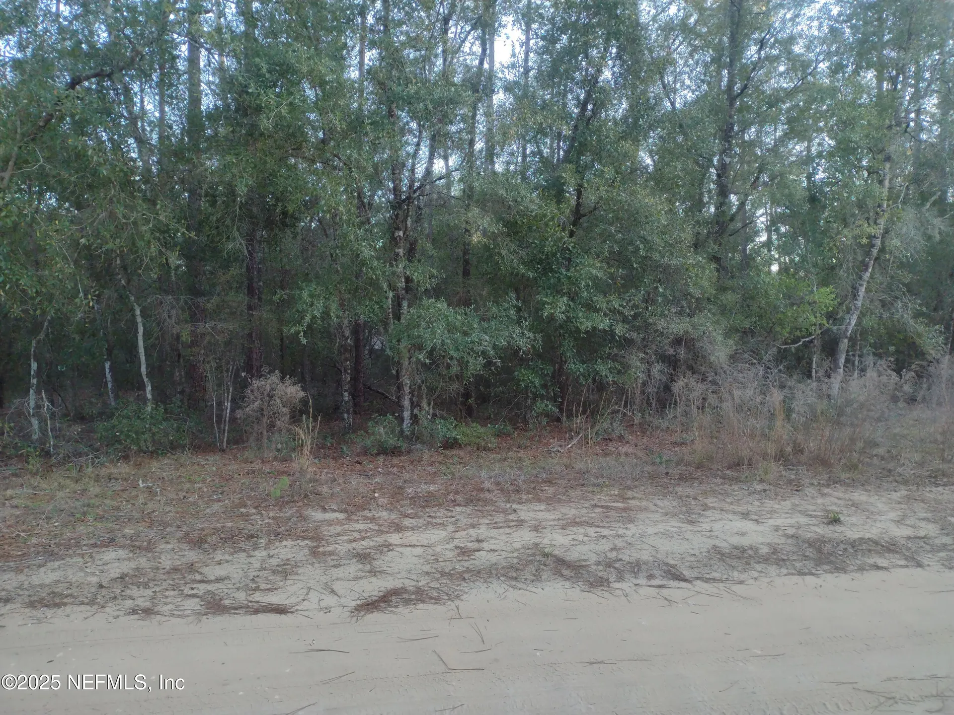 89 Tucker Lake Road Melrose FL 32666