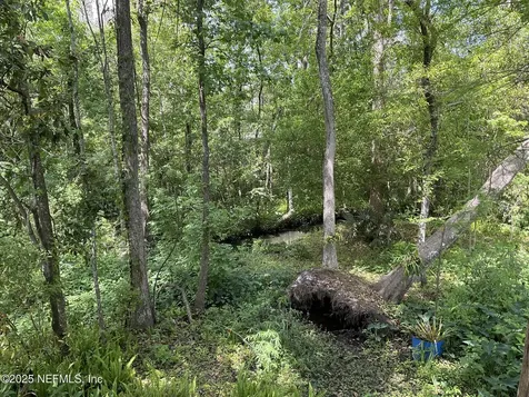 4097 Shady Creek Lane Jacksonville FL 32223