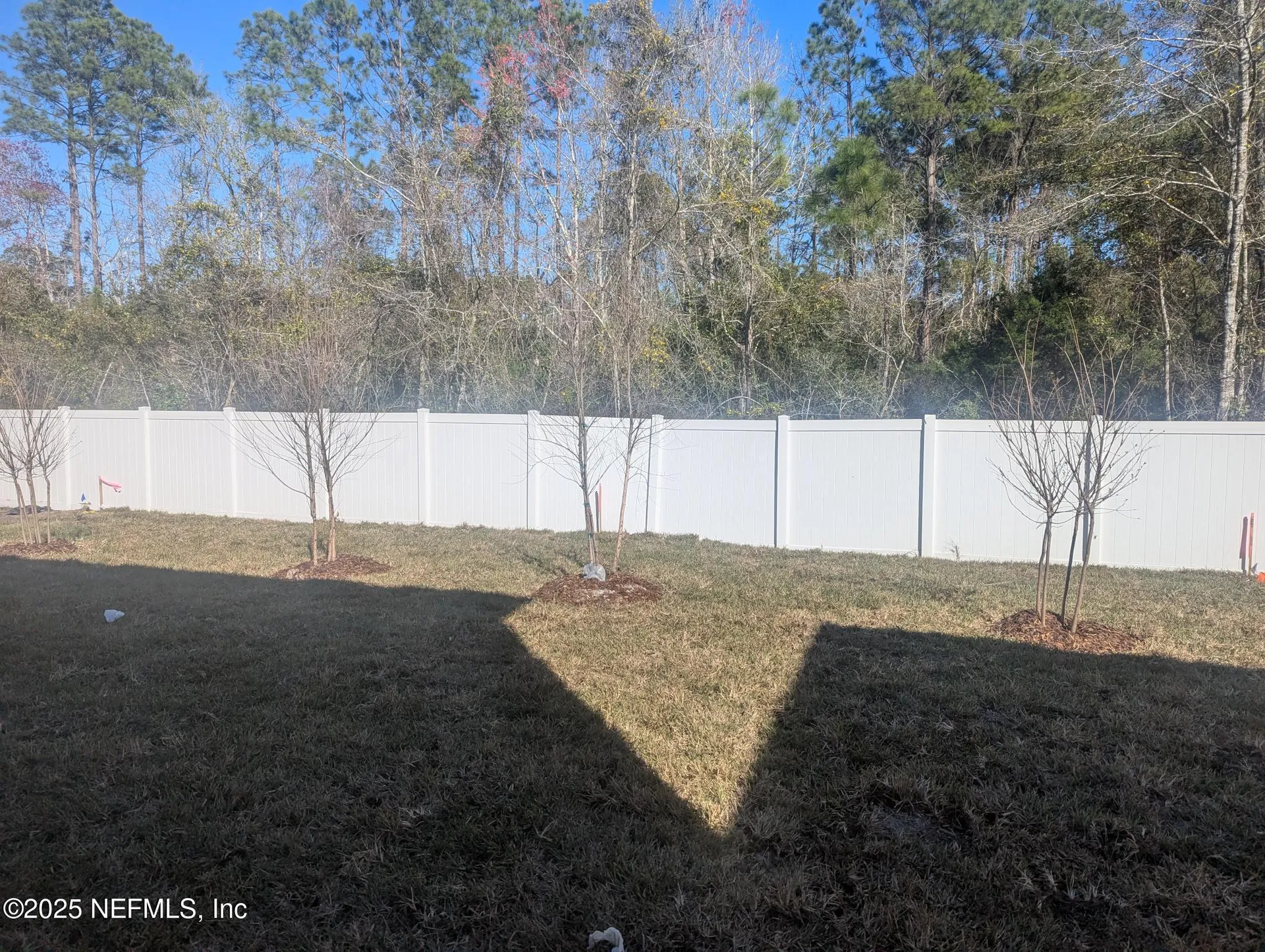 139 Brazil Nut Circle Jacksonville FL 32218