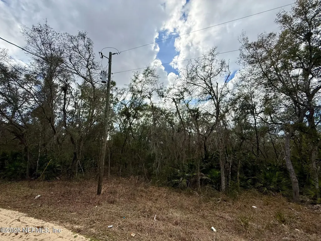 Xxx Usina Avenue Interlachen FL 32148