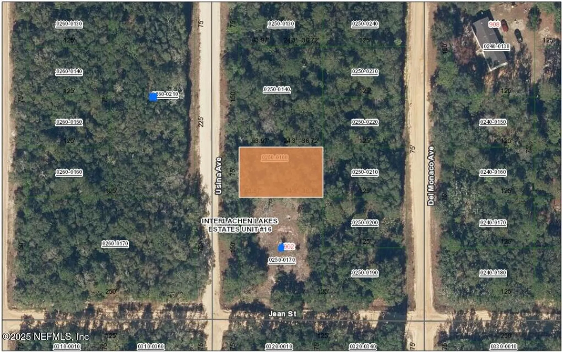 Xxx Usina Avenue Interlachen FL 32148