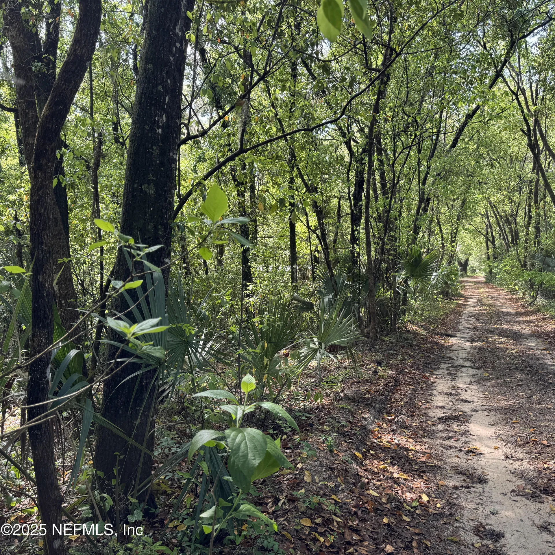 00 W Keuka Lake Road Interlachen FL 32148