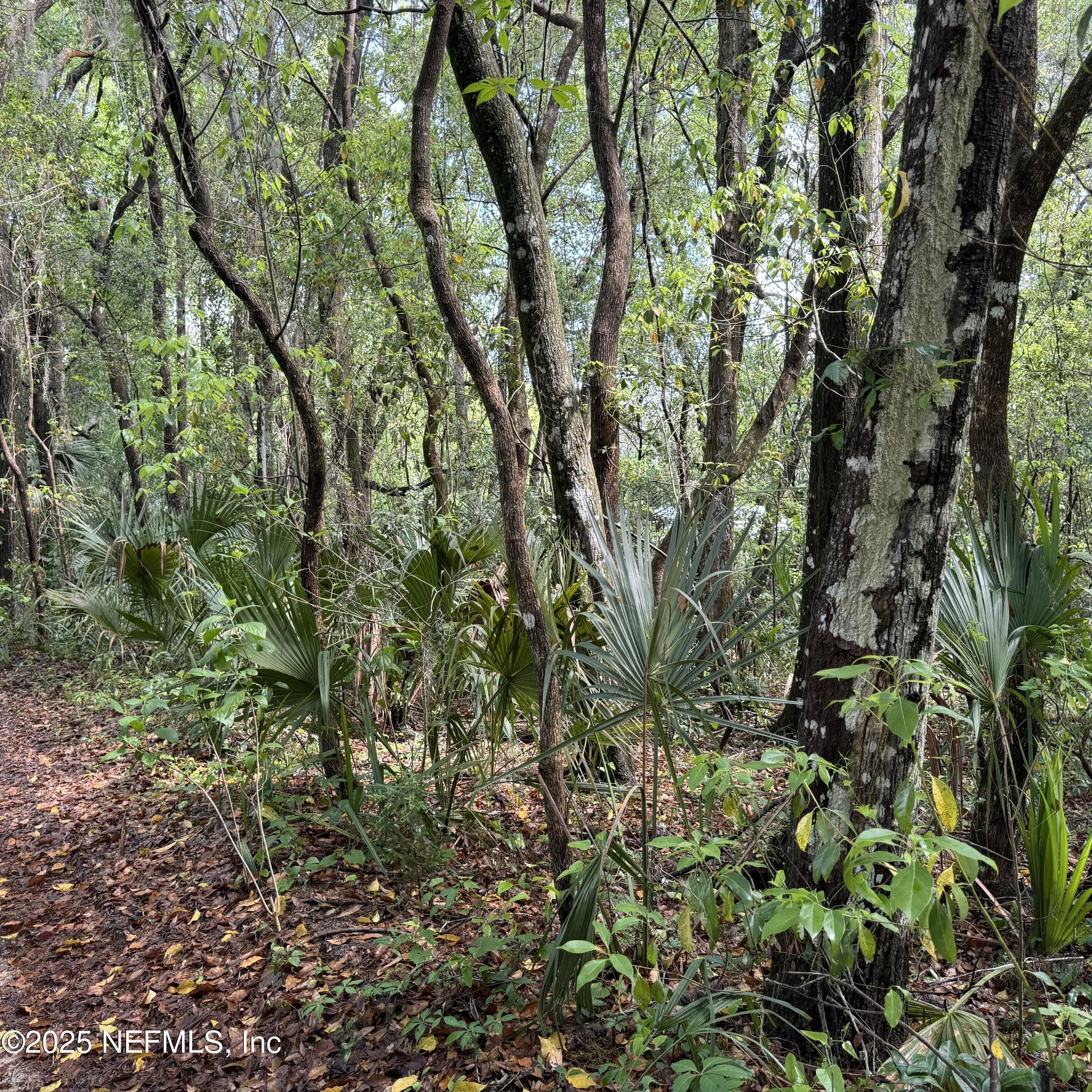 00 W Keuka Lake Road Interlachen FL 32148