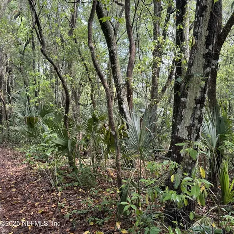 00 W Keuka Lake Road Interlachen FL 32148