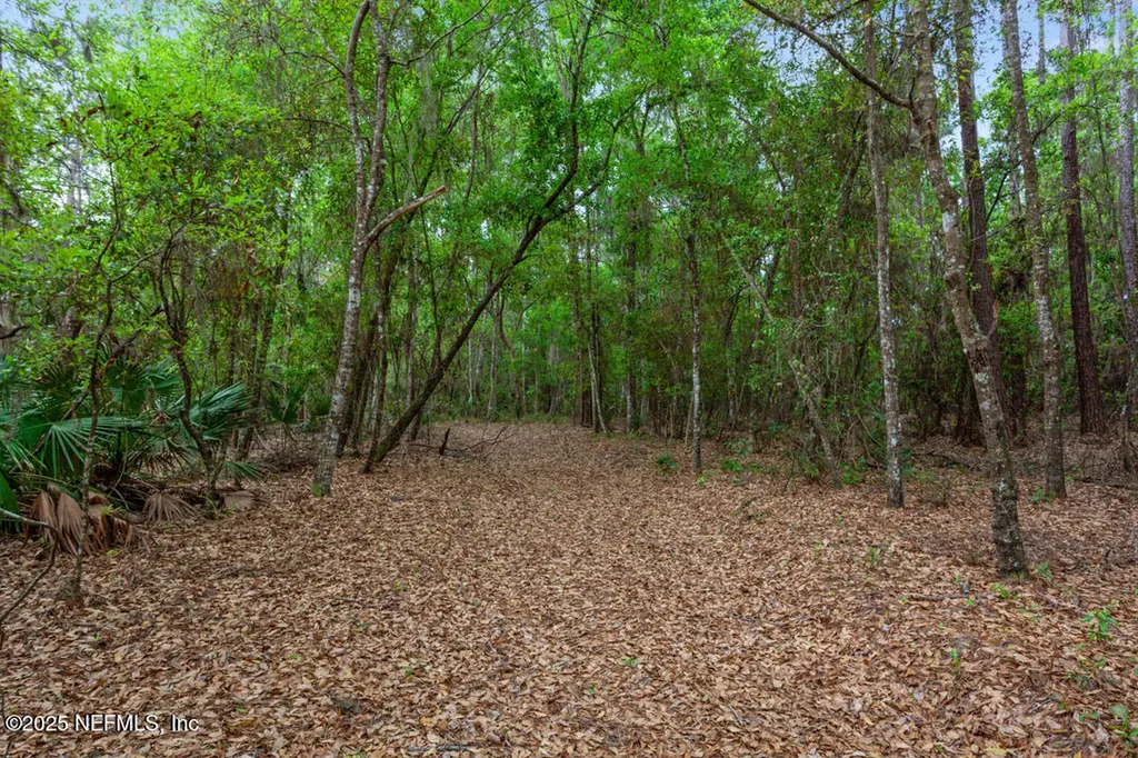 1017 Old Gainesville Highway Interlachen FL 32148