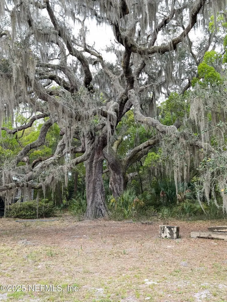 1017 Old Gainesville Highway Interlachen FL 32148
