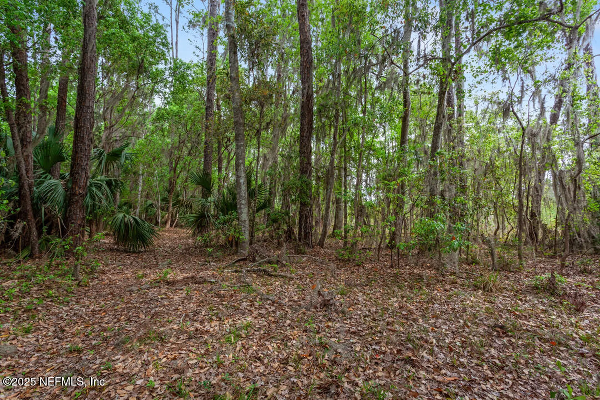 1017 Old Gainesville Highway Interlachen FL 32148