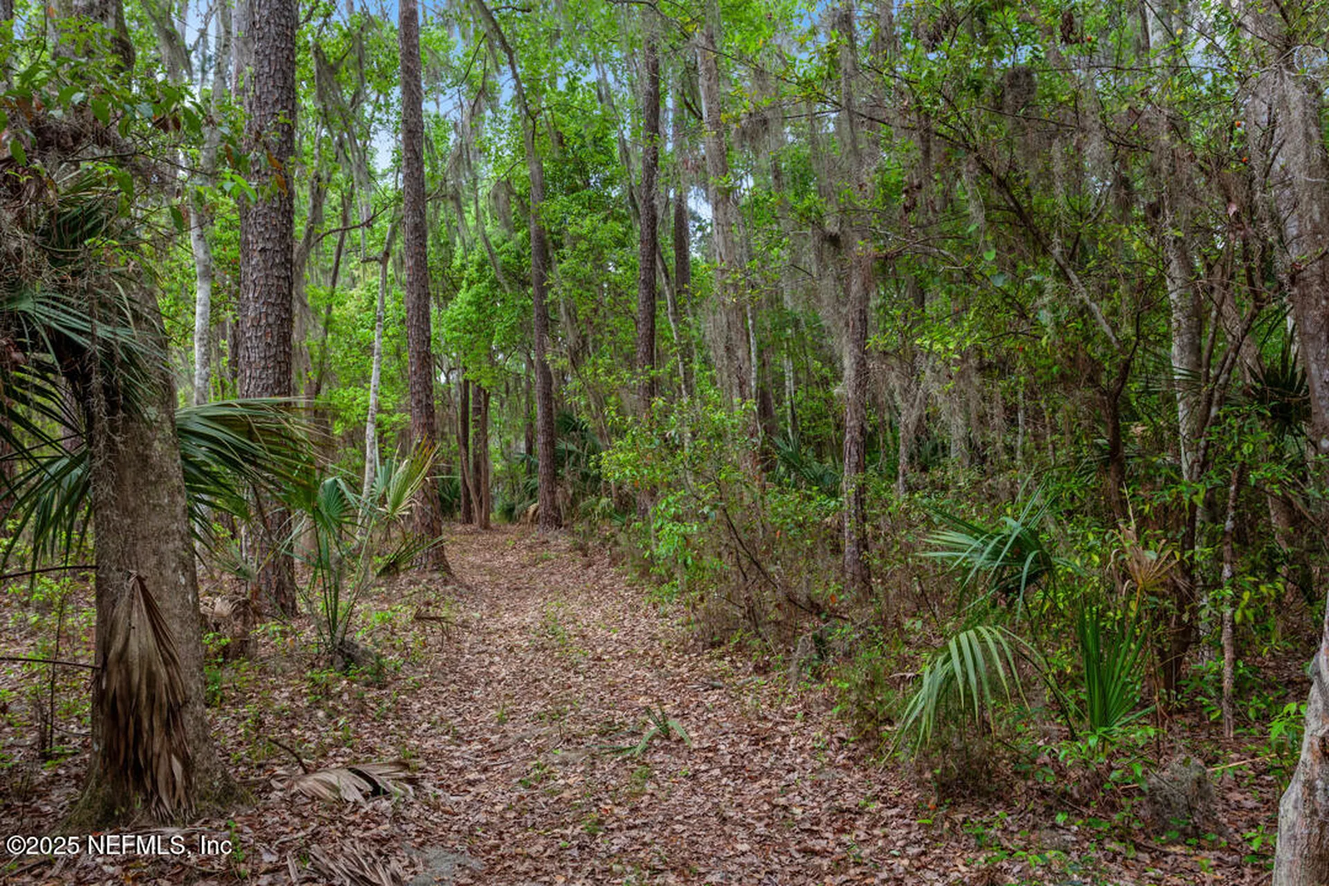 1017 Old Gainesville Highway Interlachen FL 32148
