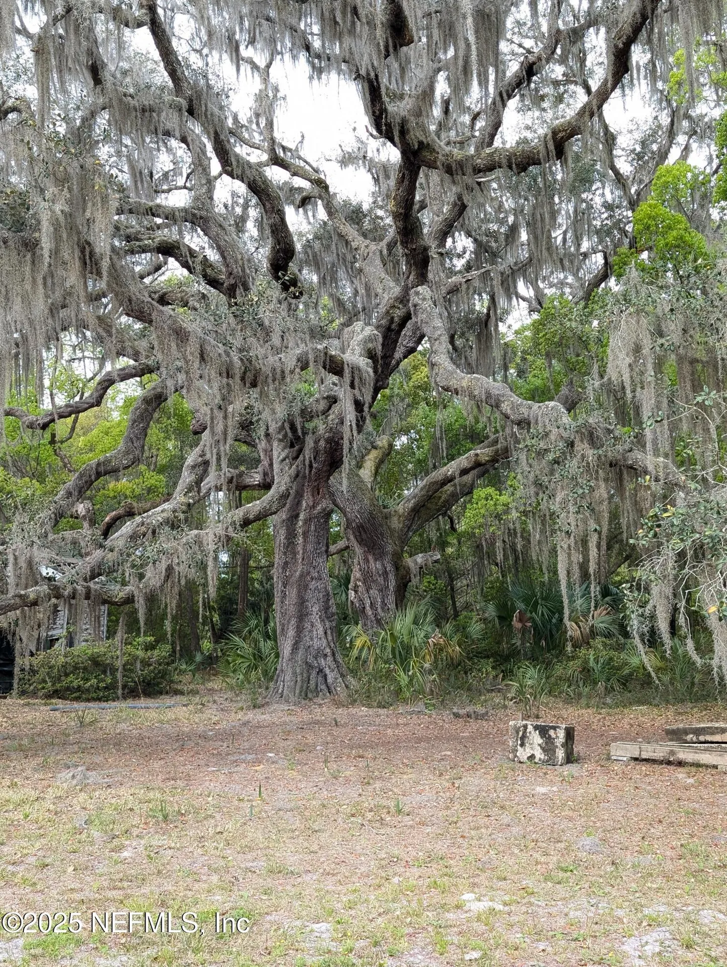 1017 Old Gainesville Highway Interlachen FL 32148
