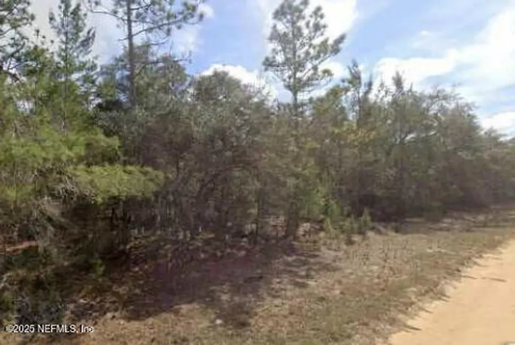 0000 Brett Avenue Interlachen FL 32148
