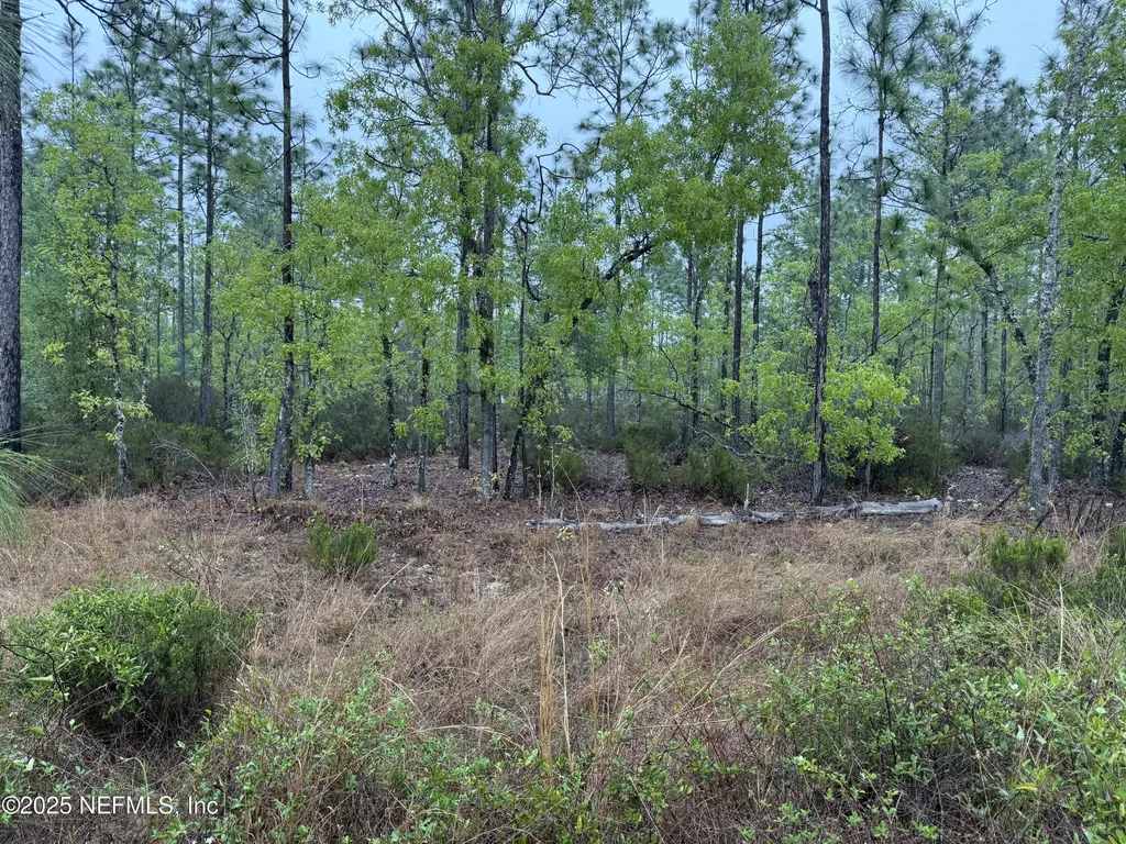 0 Lots 32 + 33 Interlachen FL 32148