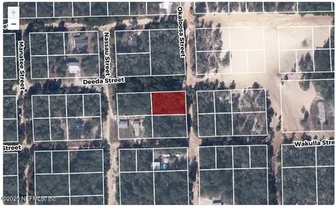 607 Deeda Street Florahome FL 32140