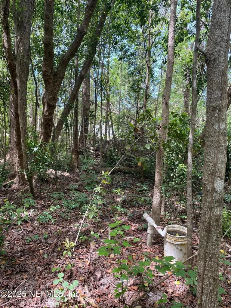 106 Bowfin Drive Palatka FL 32177
