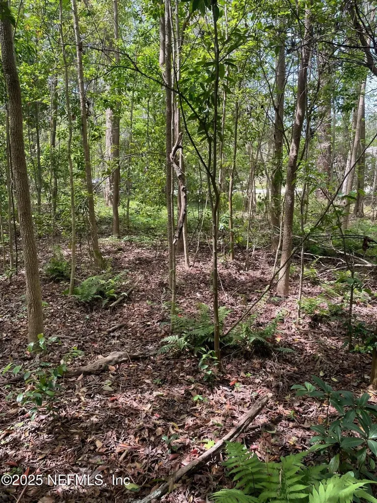 106 Bowfin Drive Palatka FL 32177